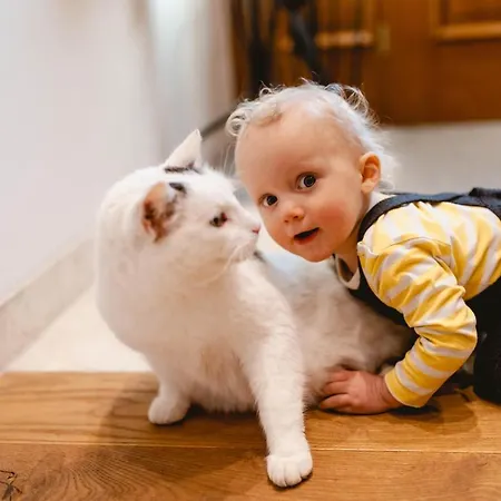 Franzl - Bett & Brot Saint Wolfgang