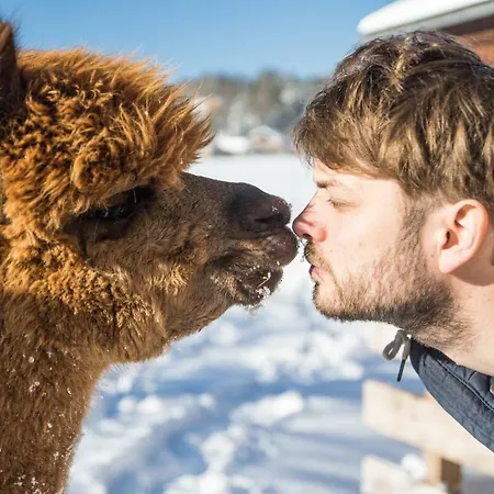 فندق مبيت وإفطار Franzl - Bett & Brot