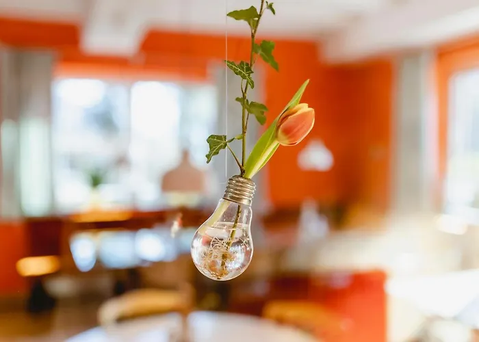 Bed & Breakfast Franzl - Bett & Brot Saint Wolfgang