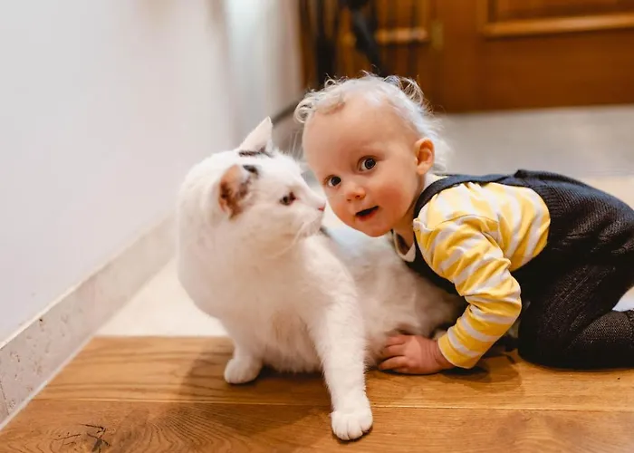 Franzl - Bett & Brot Saint Wolfgang