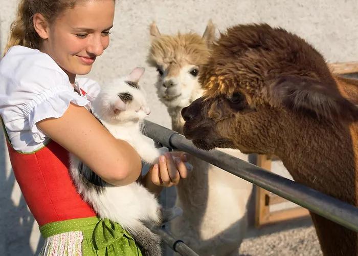 Franzl - Bett&brot 3*