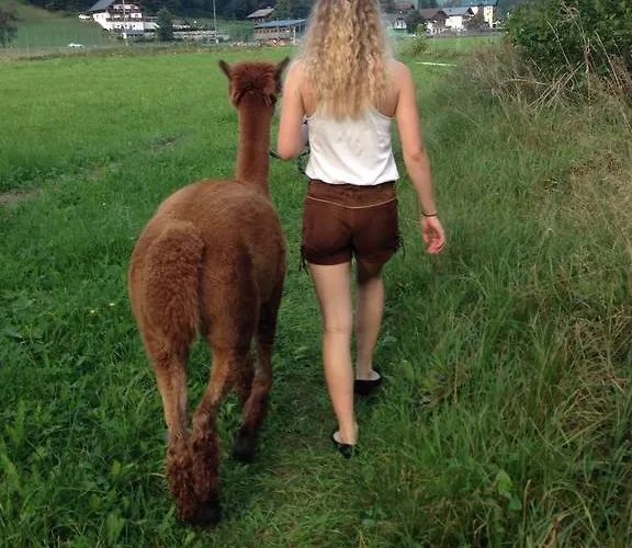 Franzl - Bett & Brot Saint Wolfgang