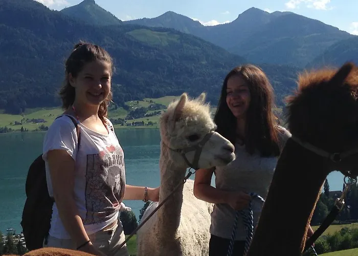 Frühstückspension Franzl - Bett&brot 3*