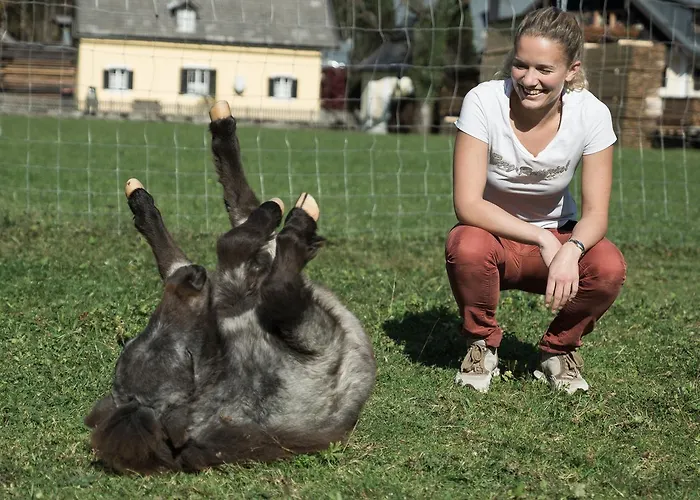 Franzl - Bett & Brot Saint Wolfgang