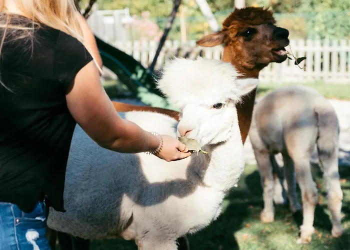 Franzl - Bett&brot Frühstückspension Saint Wolfgang