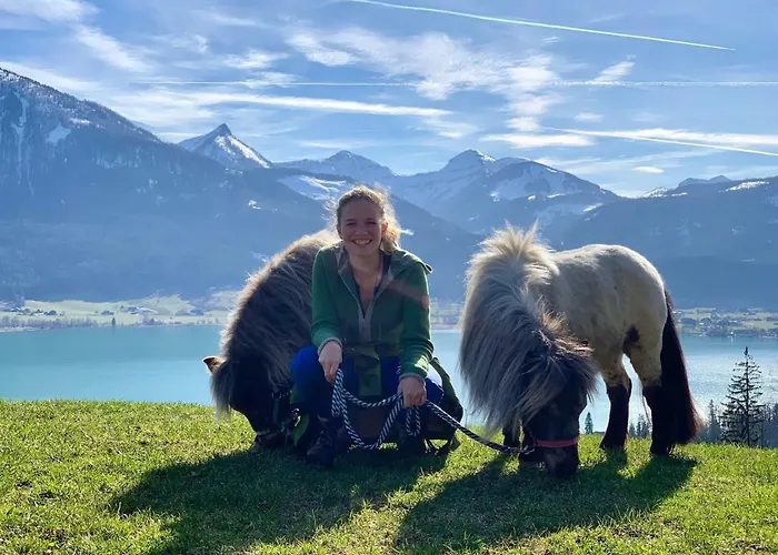 Frühstückspension Franzl - Bett&brot 3*