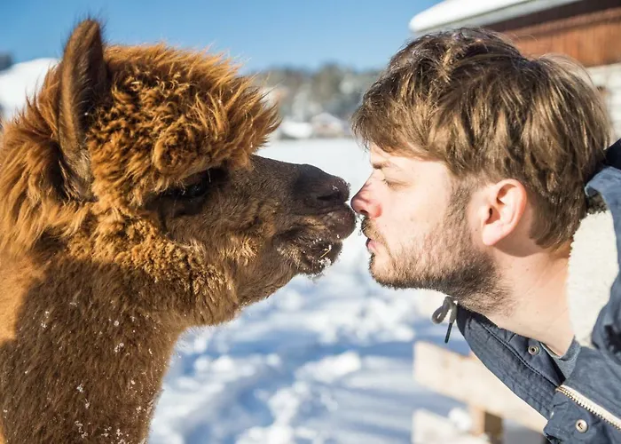 Frühstückspension Franzl - Bett&brot
