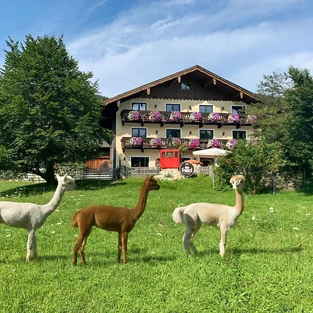 ベッド・アンド・ブレックファスト Franzl - Bett & Brot 3*