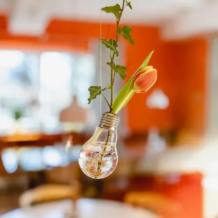 ベッド・アンド・ブレックファスト Franzl - Bett & Brot Saint Wolfgang