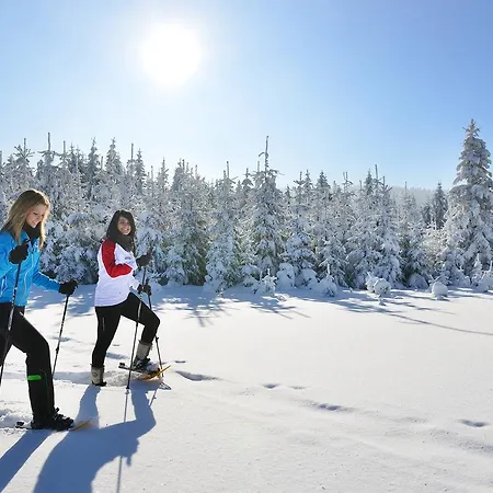 Franzl - Bett & Brot