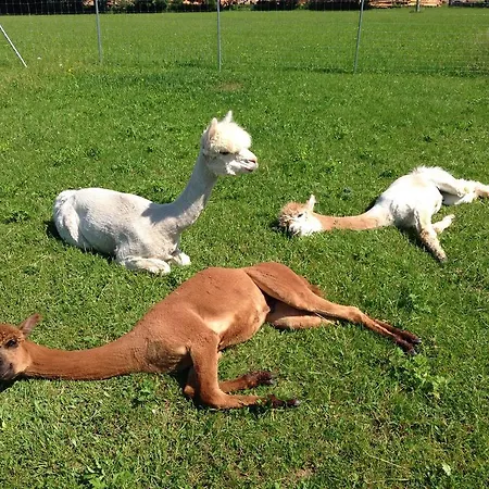 Franzl - Bett & Brot ベッド・アンド・ブレックファスト