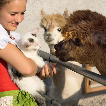 Franzl - Bett & Brot 3*