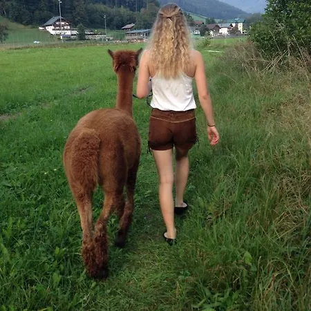 Franzl - Bett & Brot Saint Wolfgang