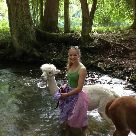 Franzl - Bett & Brot ベッド・アンド・ブレックファスト