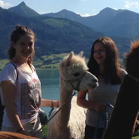 ベッド・アンド・ブレックファスト Franzl - Bett & Brot 3*