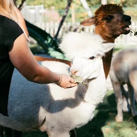 Franzl - Bett & Brot ベッド・アンド・ブレックファスト Saint Wolfgang