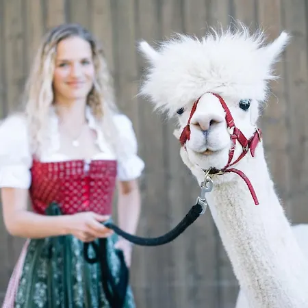 Franzl - Bett & Brot ベッド・アンド・ブレックファスト 3*