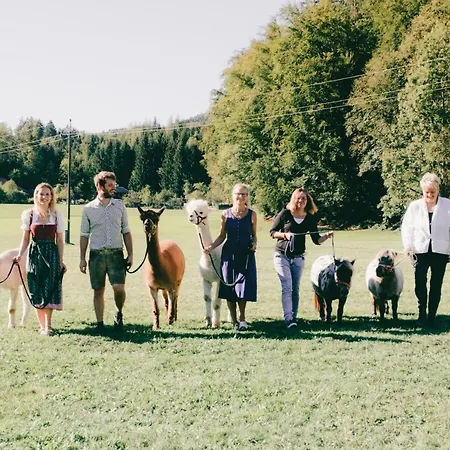 Franzl - Bett & Brot