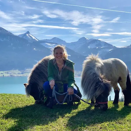 ベッド・アンド・ブレックファスト Franzl - Bett & Brot 3*