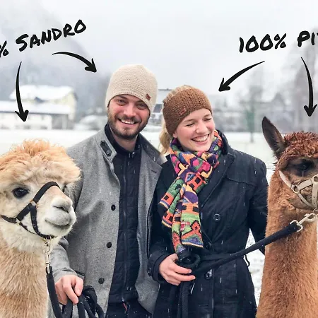 ベッド・アンド・ブレックファスト Franzl - Bett & Brot