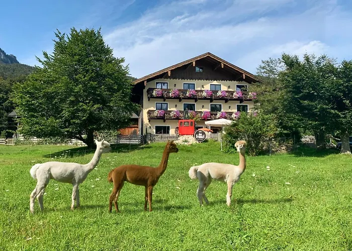 Bed & Breakfast Franzl - Bett & Brot 3*