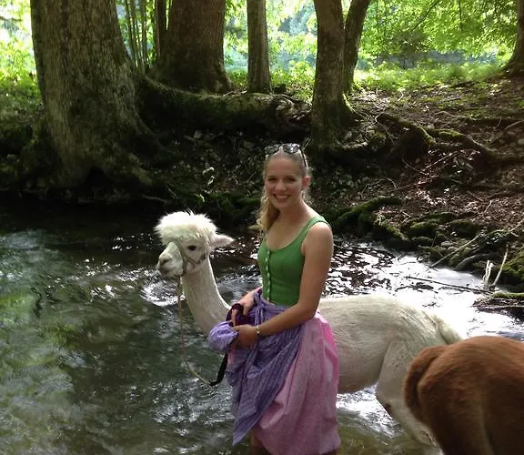 Franzl - Bett & Brot Bed & Breakfast