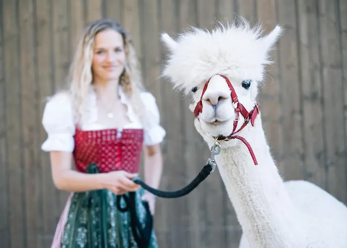 Franzl - Bett & Brot Bed & Breakfast 3*