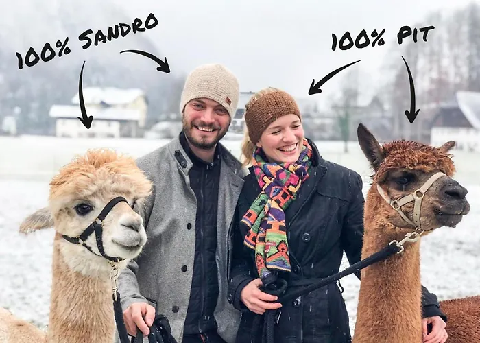 Bed & Breakfast Franzl - Bett & Brot